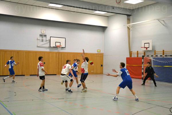 2011Handball (11)