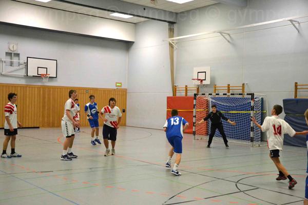 2011Handball (12)