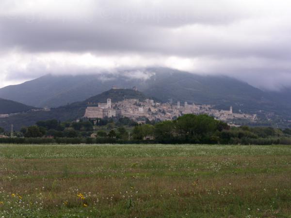 assisi (2)