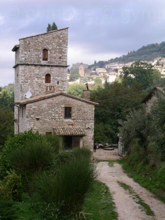 assisi (4)