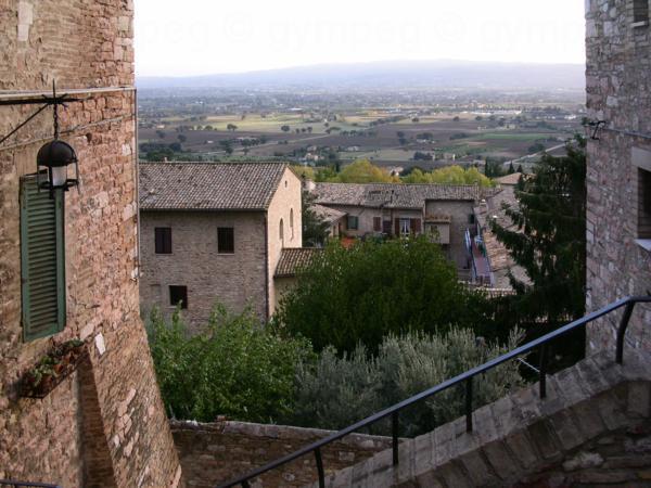 assisi (7)